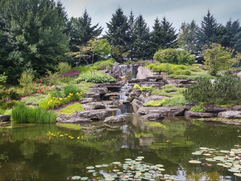 Japanese lake in Grand Rapids, Michigan, United States Calm water of a lake with a waterfall in a Japanese garden, surrounded by trees and plants. Meijer Garden, Grand Rapids, Michigan, United States.