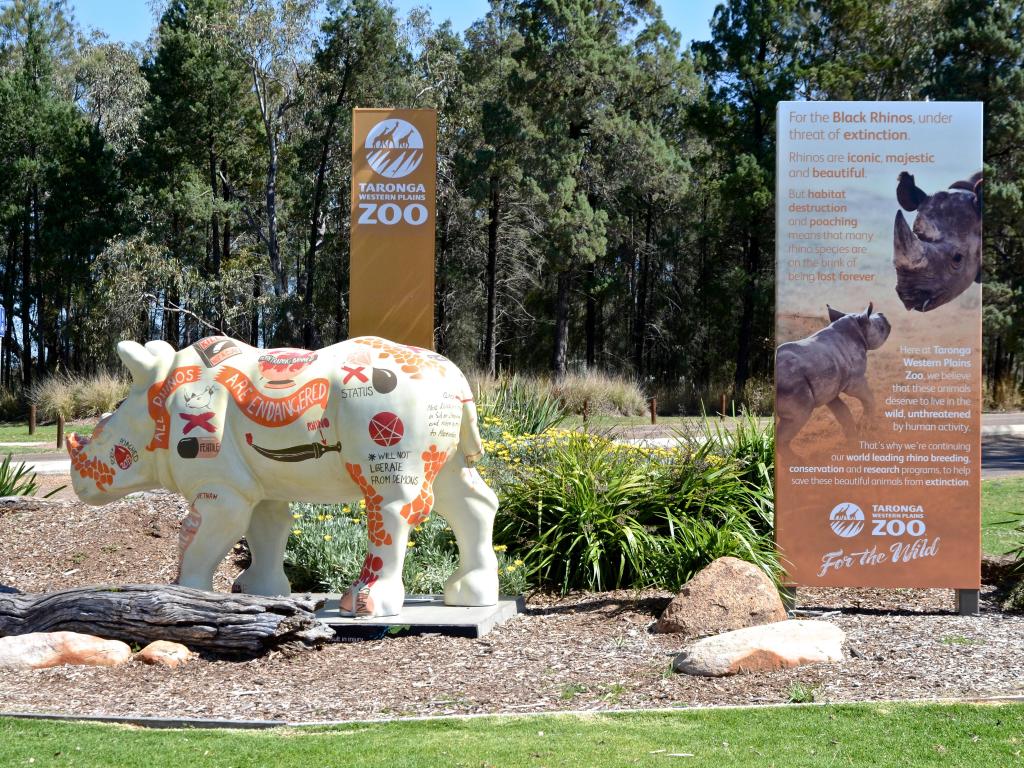 Rhino statue and sign at the entrance of Taronga Western Plains Zoo