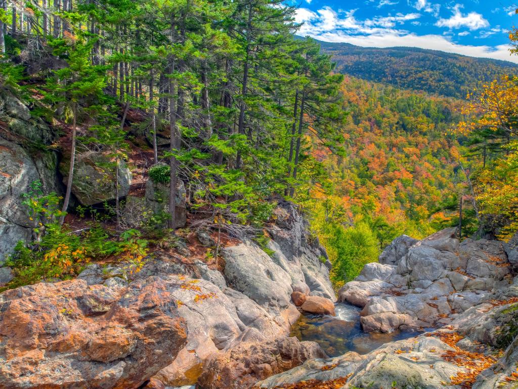 Glen Ellis Falls, Jackson, New Hampshire, USA with autumn fall foliage in the forest, with the start of a waterfall, surrounded by trees on a sunny day.