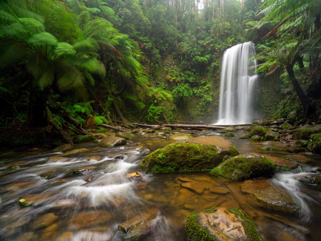 Otway National Park, Victoria, Australia taken at Beauchamp Falls a waterfall in the Otway National Park near the Great Ocean Road.