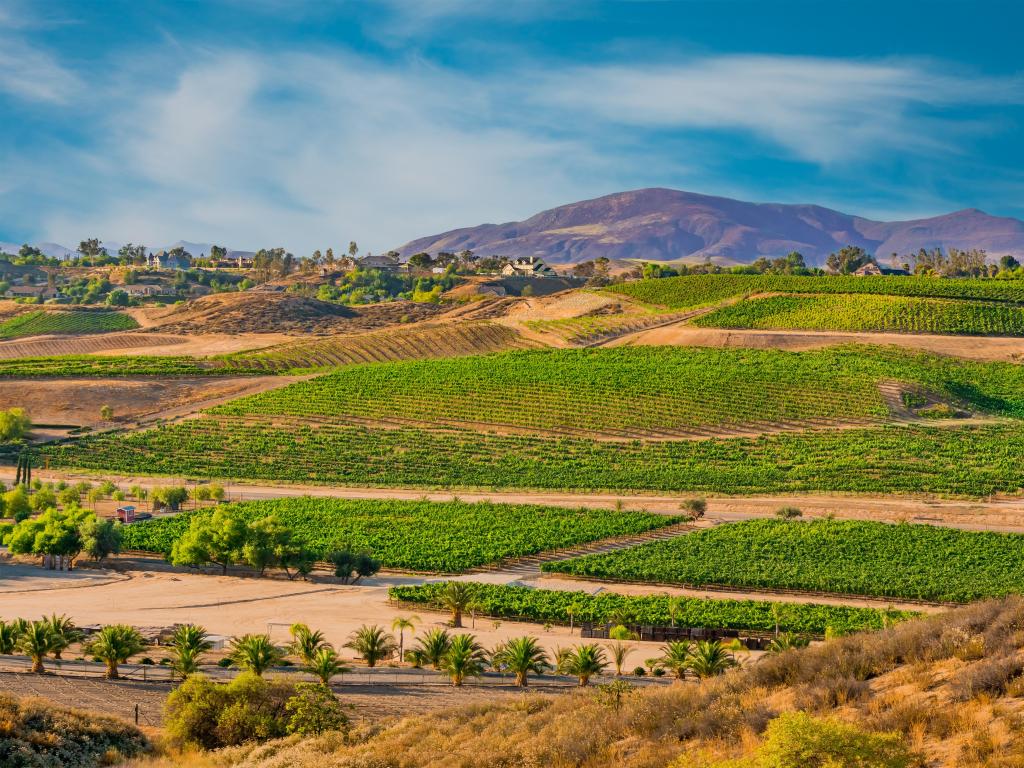 Temecula Valley, Southern California, USA with a view looking over the wine country in Temecula Valley showing new and older vineyards, wineries, and homes all peacefully nestled in front of the mountains in Southern California.