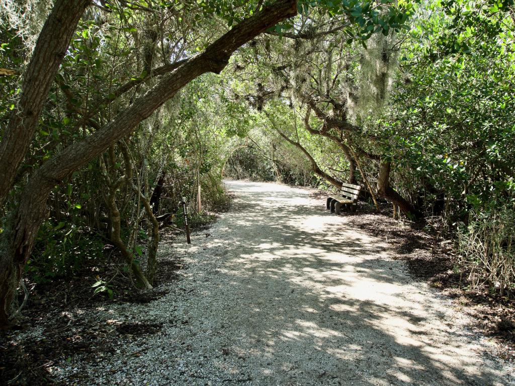 Trail through De Soto National Memorial. Crushed shells and mangrove swamp. Park commemorates Hernando de Soto's landing and the first extensive European exploration of southern United States.