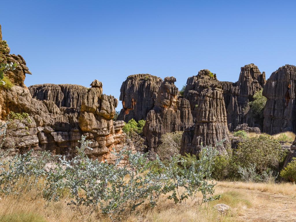 Mimbi Caves, Kimberley, Western Australia near Fitzroy Crossing with trees and grasses in the foreground and the fascinating rock structures against a blue sky.