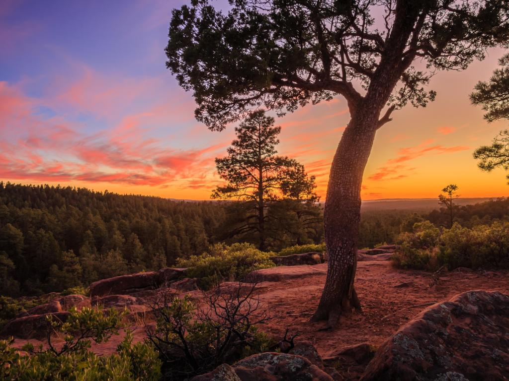 Sunset along the Mogollon Rim near Pinetop-Lakeside in the White Mountains of Arizona, USA.