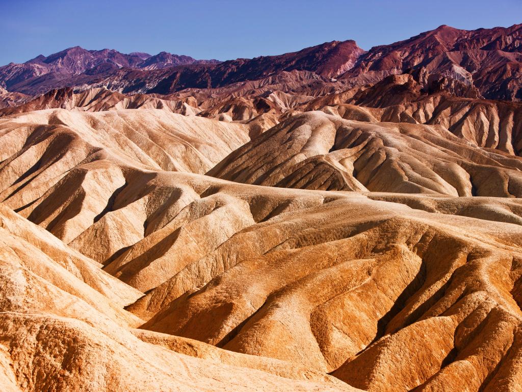 Heavily Eroded Ridges At the famous Zabriskie Point, Death Valley National Park, California, USA