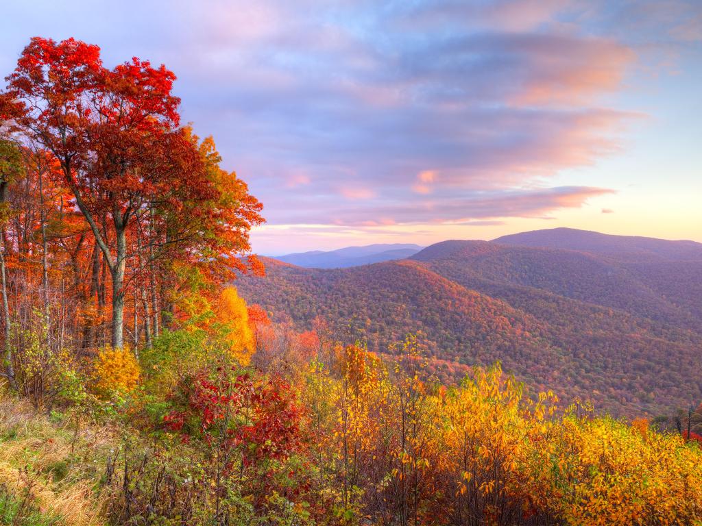 Fall colors over mountain slopes illuminated by sunrise light