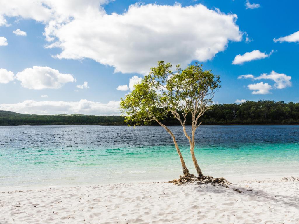 Lake Mckenzie on Fraser Island, Australia with turquoise waters and a blue sky above