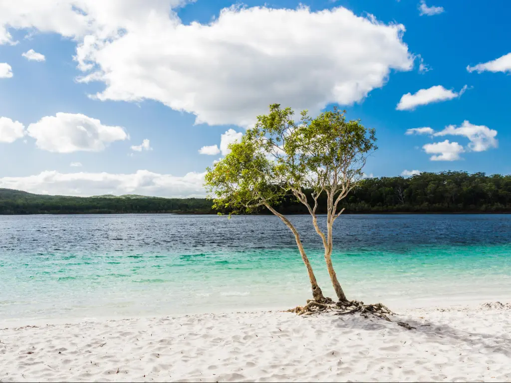 Lake Mckenzie on Fraser Island, Australia with turquoise waters and a blue sky above
