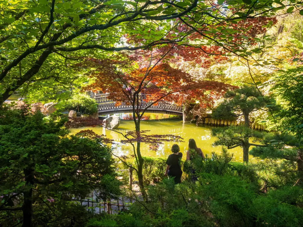 Nishinomiya Tsutakawa Japanese Gardens
