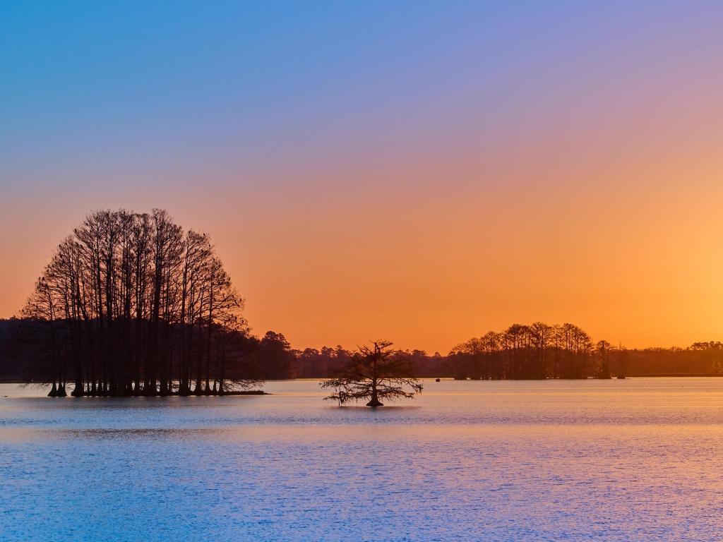 Lake Talquin at Lake Talquin State Park at Sunrise, near Tallahassee