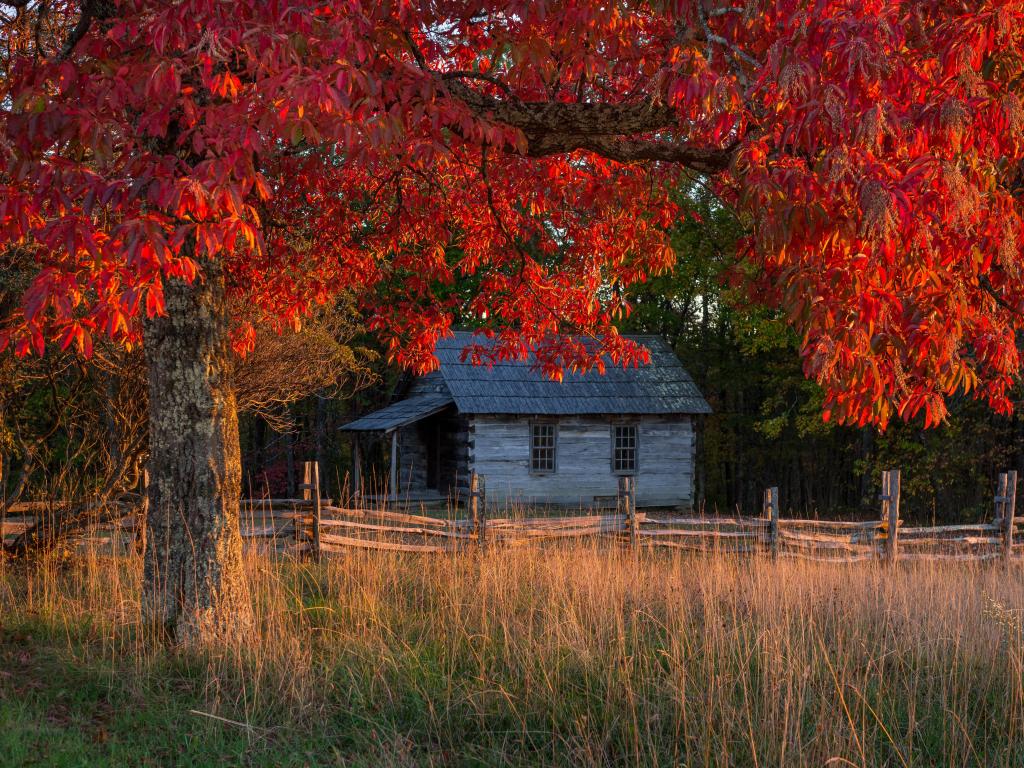 Autumn foliage frames this old one room schoolhouse in the Cumberland Gap National Park.