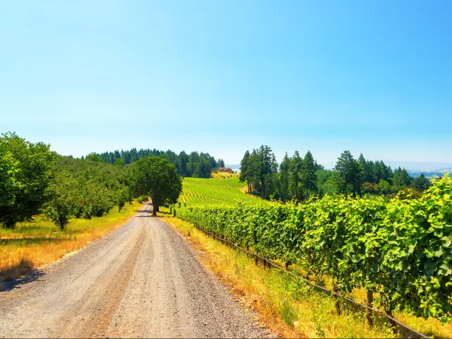 Scenery in McMinnville, Oregon