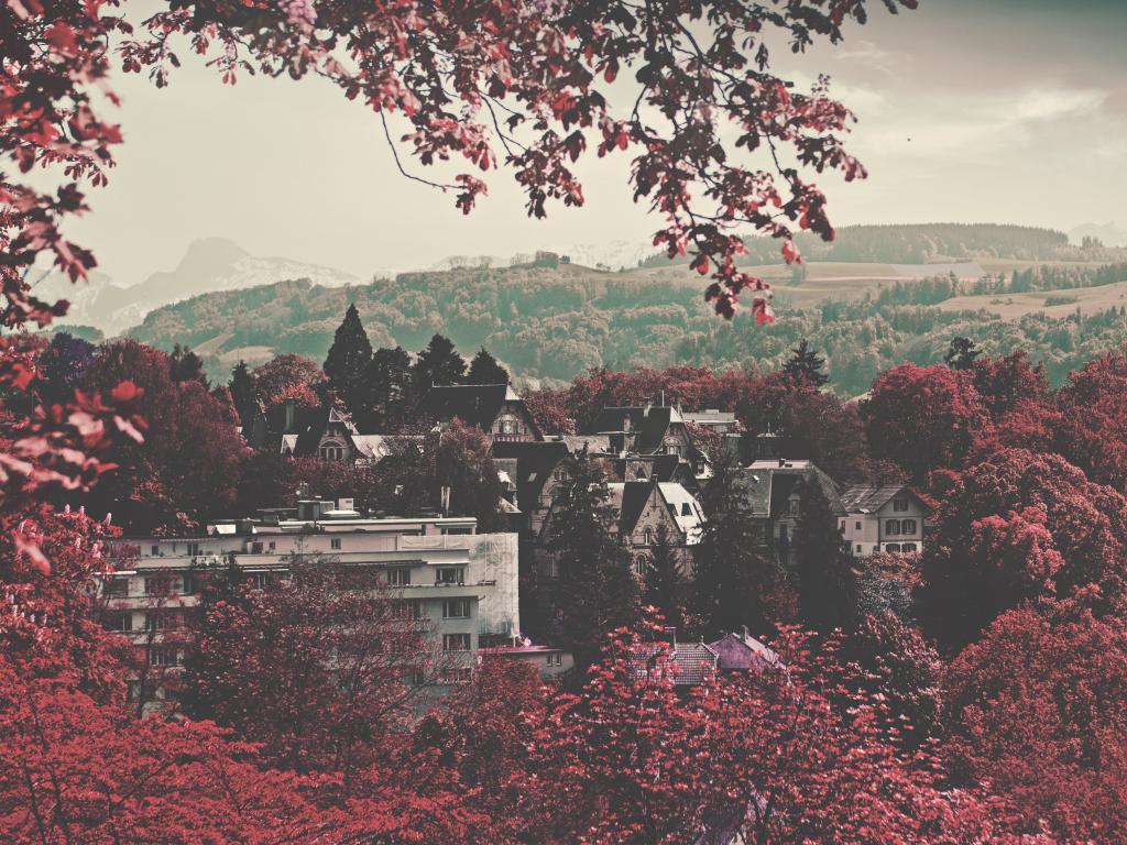 Red-leafed trees surround the canton of Bern in Switzerland