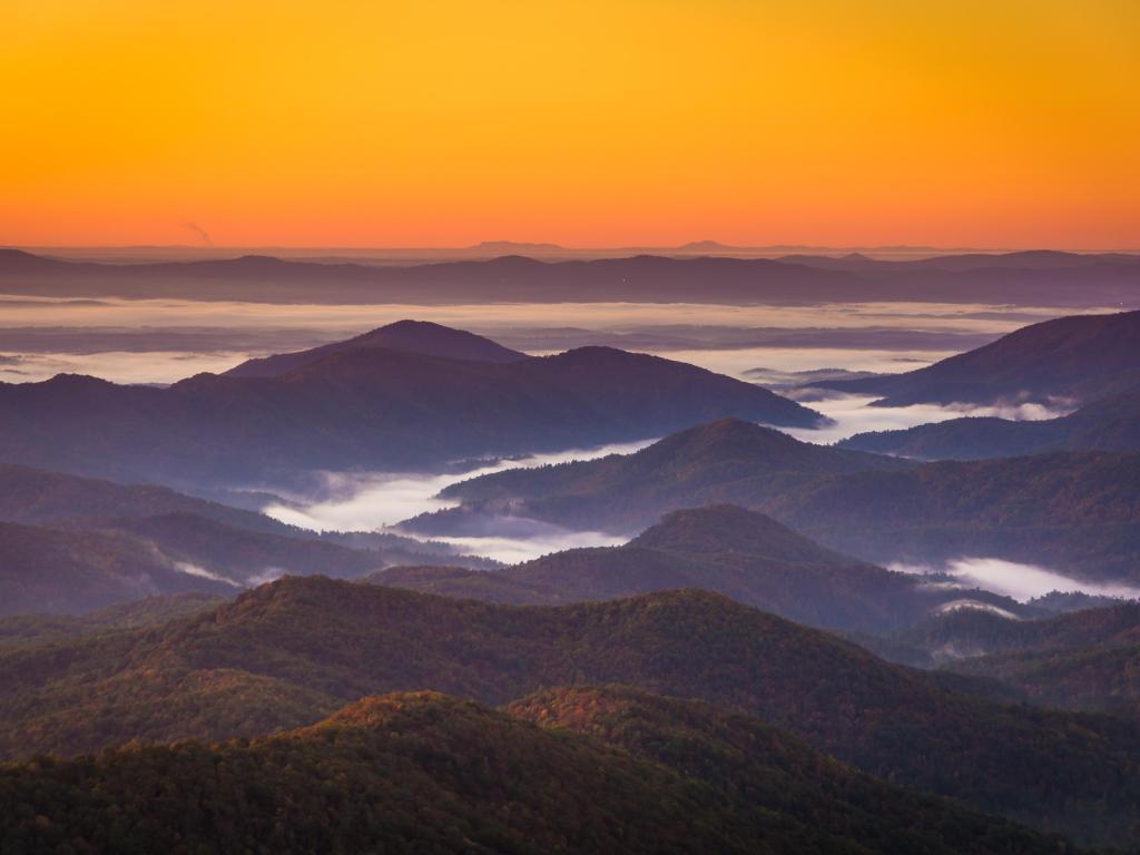 Fog in the valley at sunrise from Beacon Heights, on the Blue Ridge Parkway
