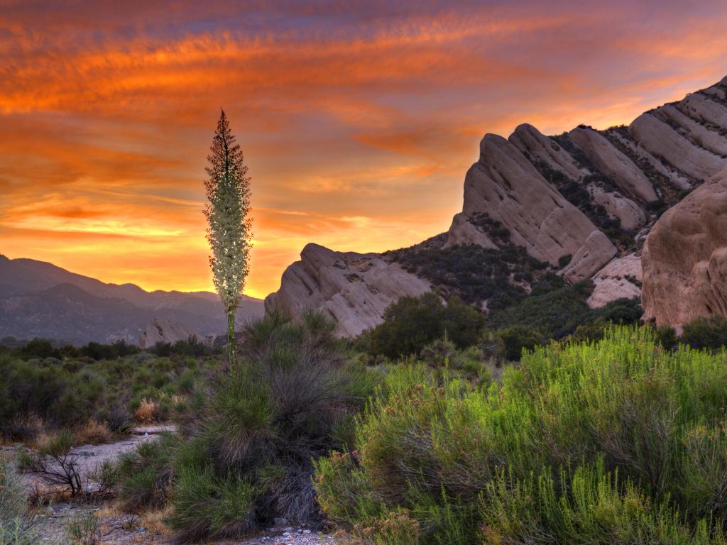 The Mormon Rocks, in the San Gabriel Mountains, California