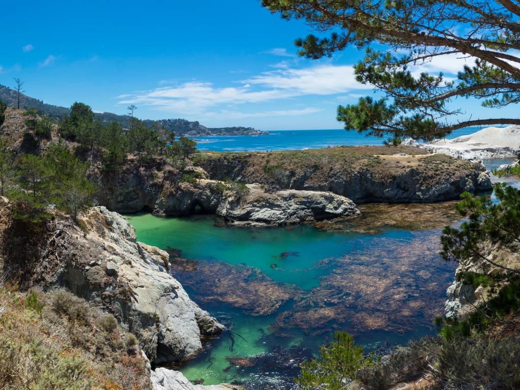 China Cove at Point Lobos State Natural Reserve, Carmel-By-The-Sea