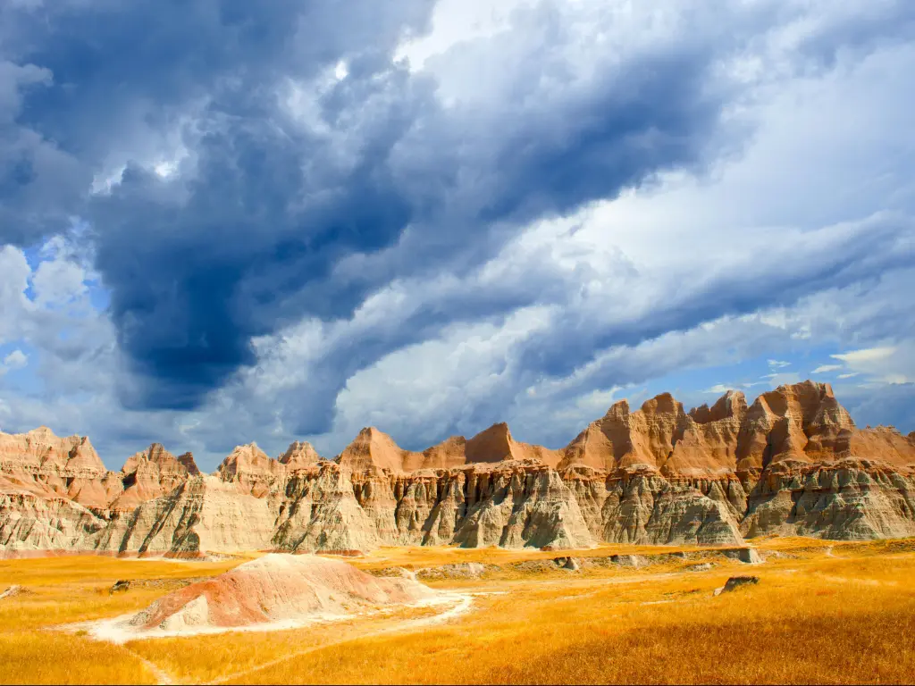 Badlands National Park, South Dakota, USA taken during a stormy day in the park with yellow grasses in the foreground and rocky cliffs in the distance.