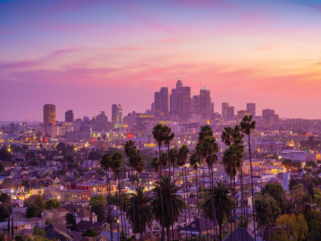Los Angeles, California, USA with an amazing sunset view with palm tree and downtown Los Angeles. 