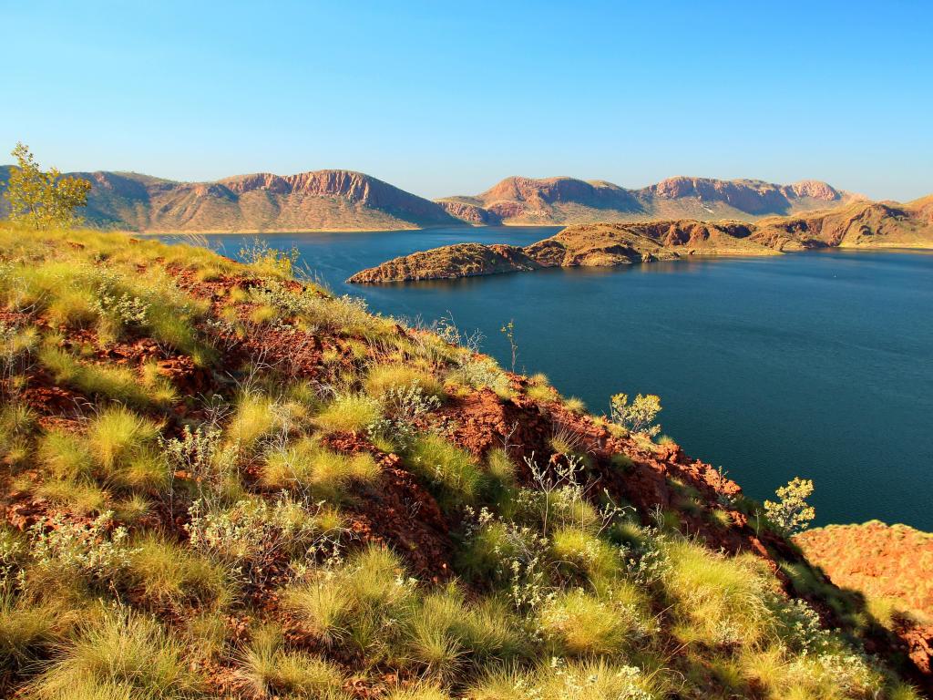 Lake Argyle, Australia with grasses in the foreground and the vastest lake in the distance, hills against a blue sky.