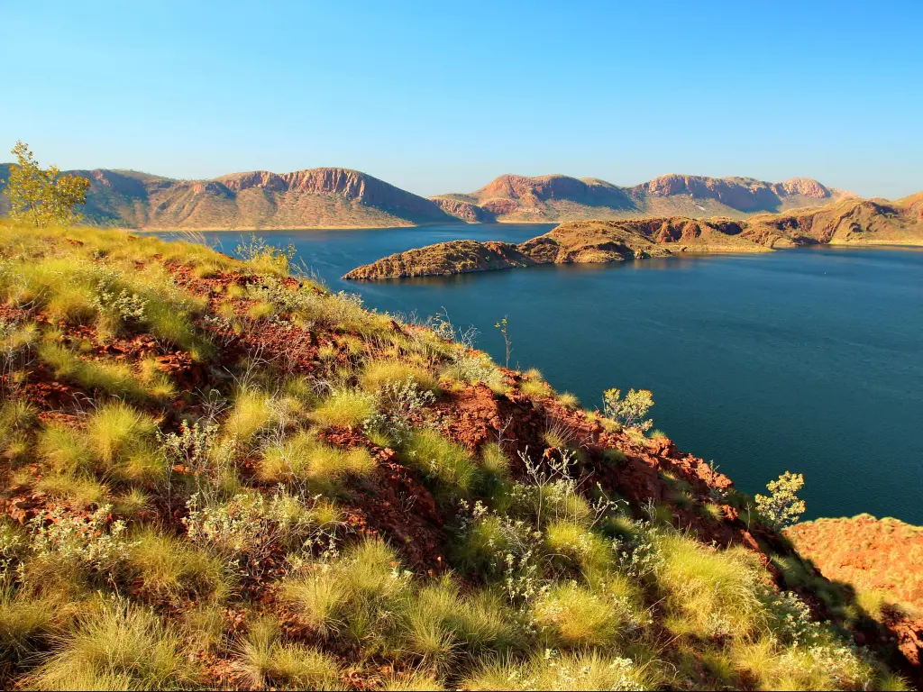 Lake Argyle, Australia with grasses in the foreground and the vastest lake in the distance, hills against a blue sky.