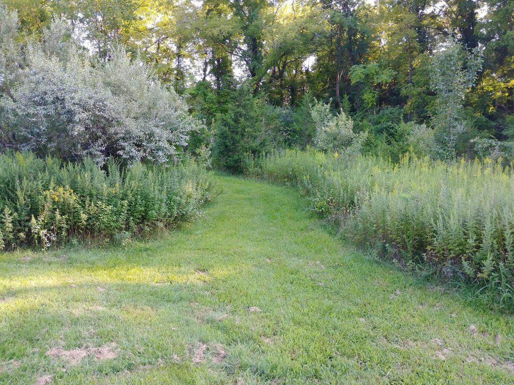 The entrance to the hiking trail into grasslands to the Blacks Creek site at Maple Grange Park in Vernon, New Jersey
