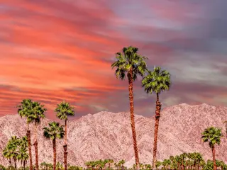 Pastel sunset above the San Jacinto Mountains, Palm Springs California with palm trees in the foregroun