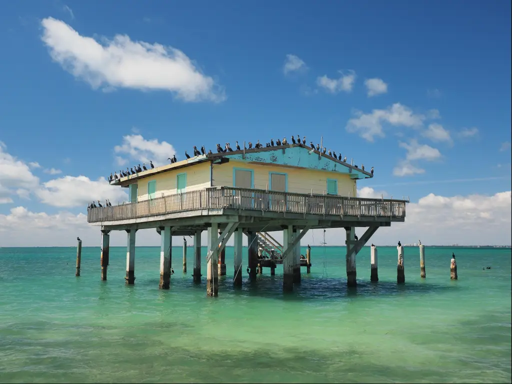 House on stilts in the sea with sea birds perched on top