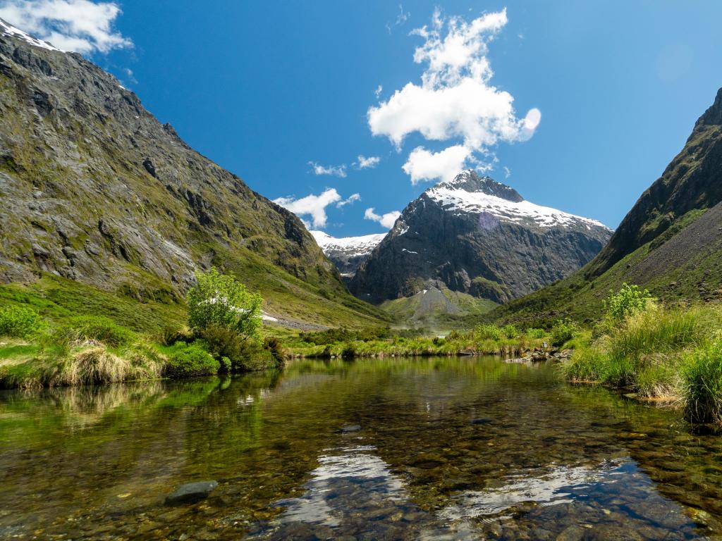 Monkey Creek,Milford Sound.