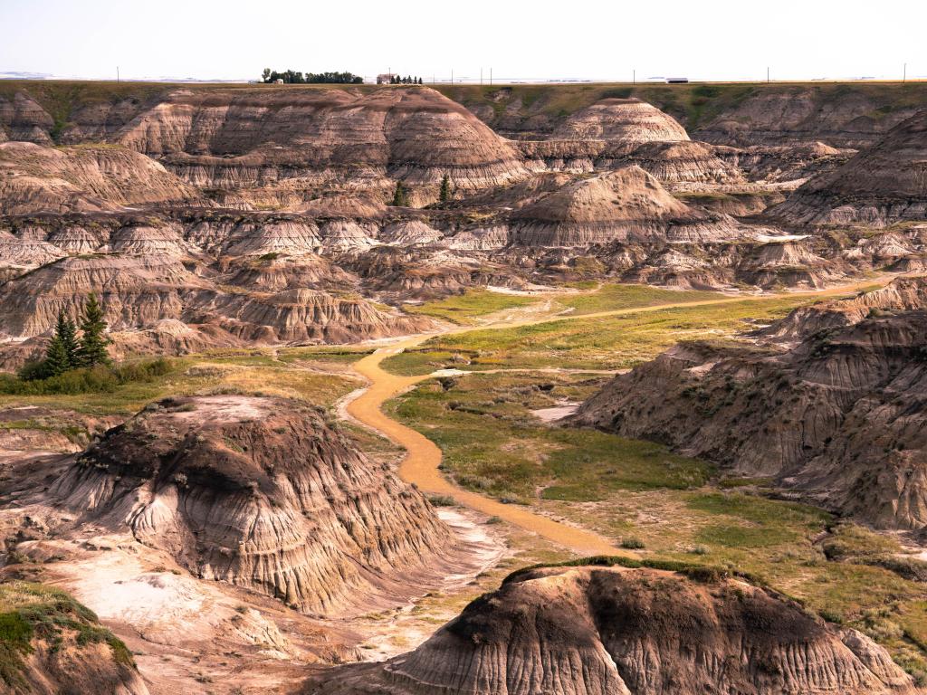 Horseshoe Canyon, Alberta, Canada with a grand vista of the canyon in the badlands.