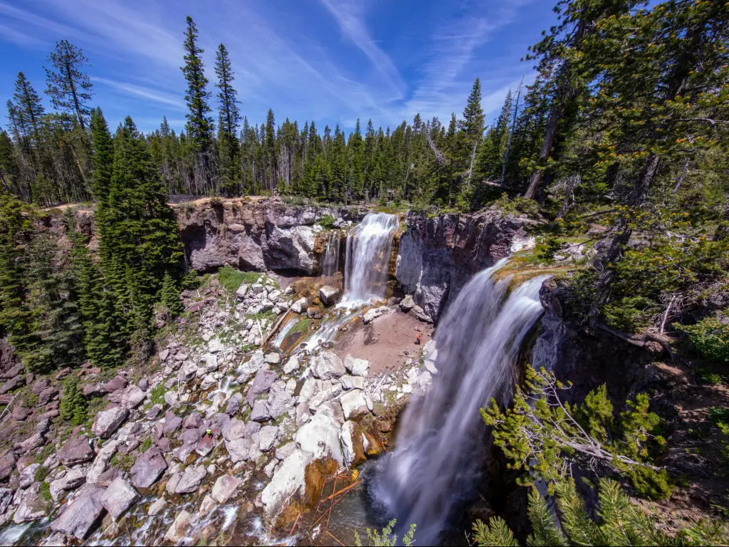 Paulina Creek Falls and forest in the Deschutes National Forest, Oregon.