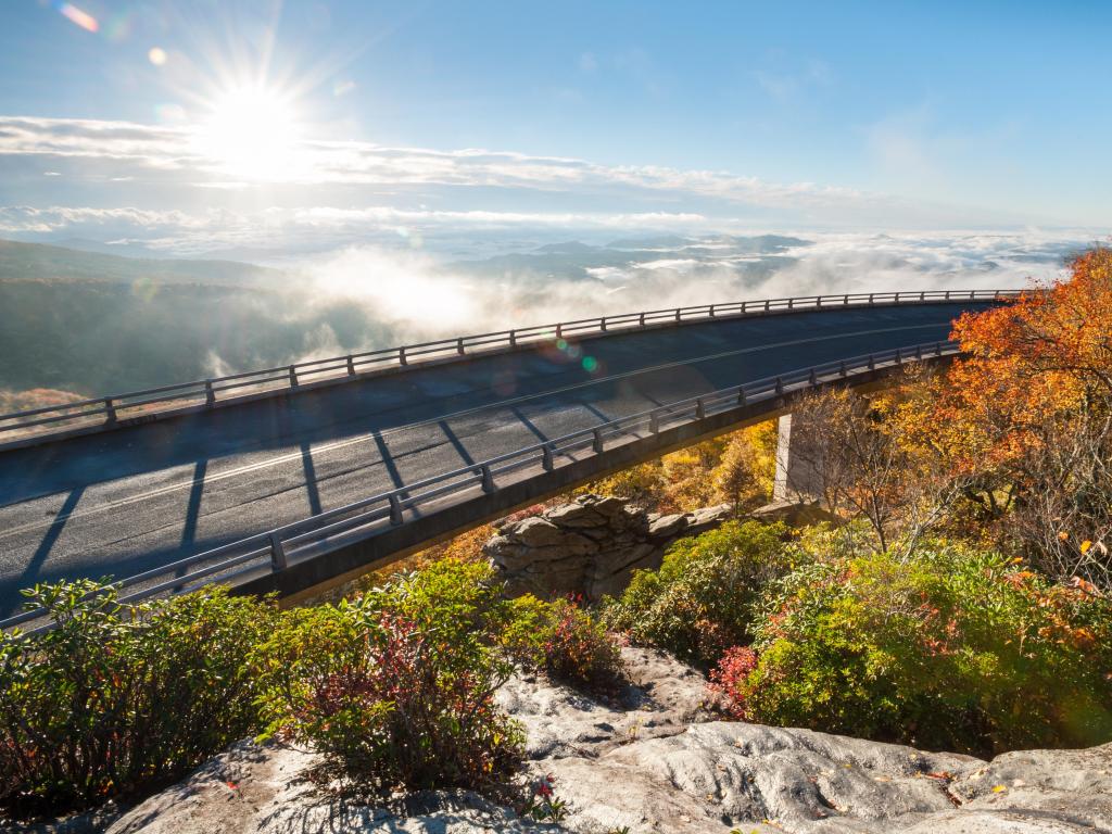 Highway through mountainside covered in autumnal colours with bright sunlight