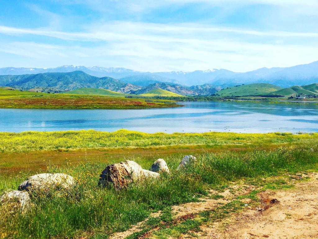 Summer flowers and Success Lake in Porterville California