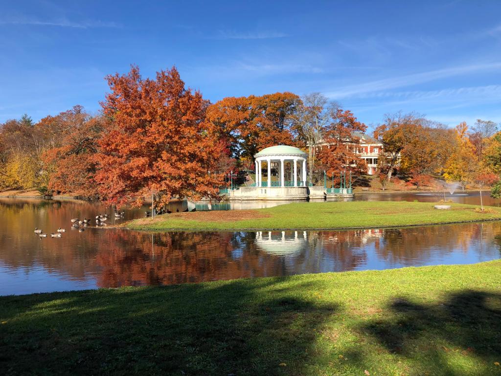 Scenic urban park with fall foliage
