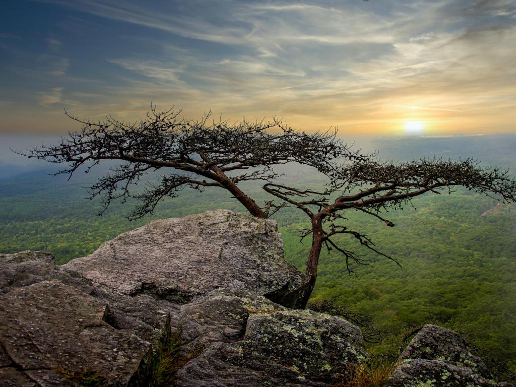 Sunrise at Cheaha State Park, Talladega National Forest, Alabama, USA