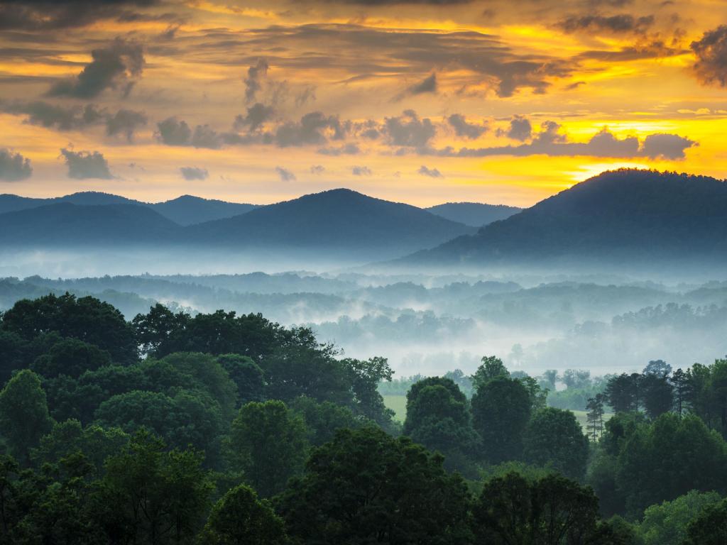 Asheville, NC, USA with a view of the Blue Ridge Mountains at sunset with fog and trees in the foreground.