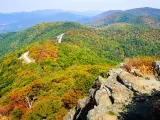 An aerial view of Skyline Drive winding its way through Shenandoah National Park in the fall, with orange-hued trees covering the mountains