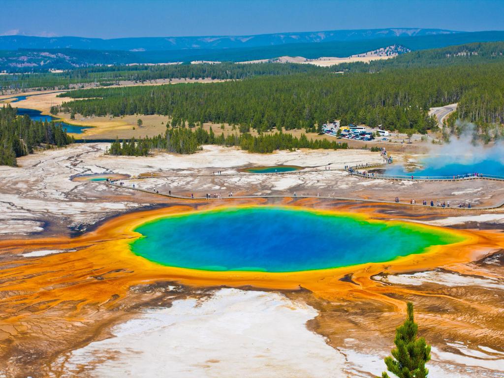 Grand Prismatic Spring in Yellowstone National Park, Wyoming, USA taken on a sunny day with trees in the foreground and the rainbow colored water in the middle.