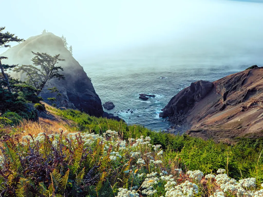 View out to the ocean at The Thumb in Lincoln City, Oregon, with wildflowers in the foreground and mist out at sea