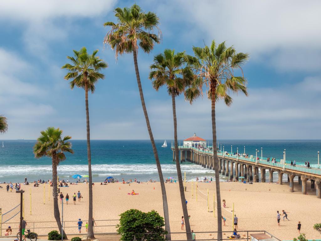 Los Angeles, California, USA with a view of Manhattan Beach and Pier at day time with palm trees in the foreground and sea in the distance. 