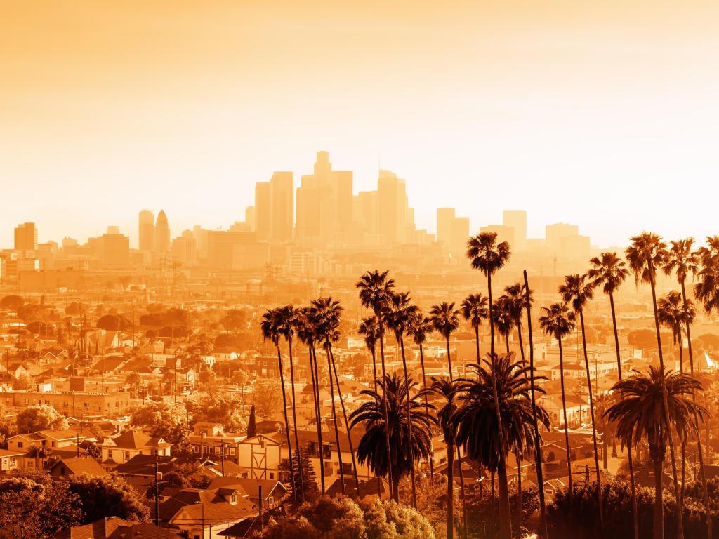 Skyline of the city during a misty sunset in the distance with palm trees in the foreground