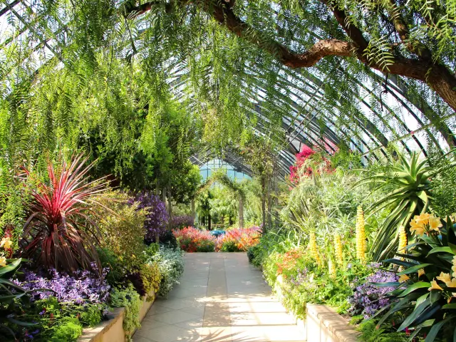 Colourful flowers and green foliage with a path cutting through the middle in the orangery at Longwood Gardens