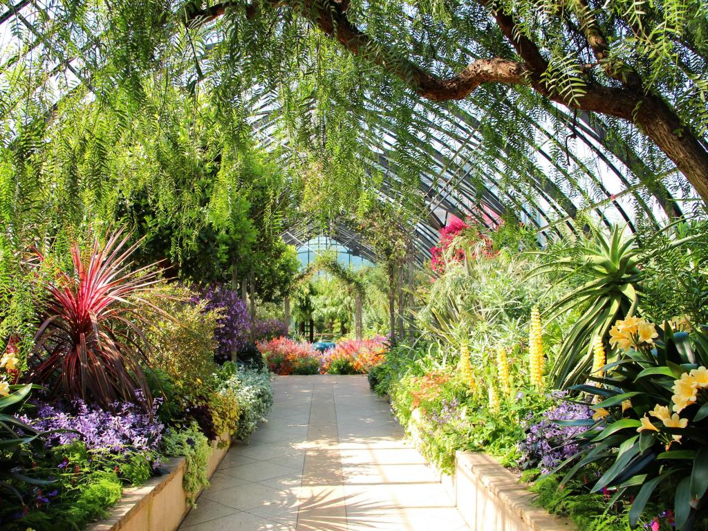 Colourful flowers and green foliage with a path cutting through the middle in the orangery at Longwood Gardens