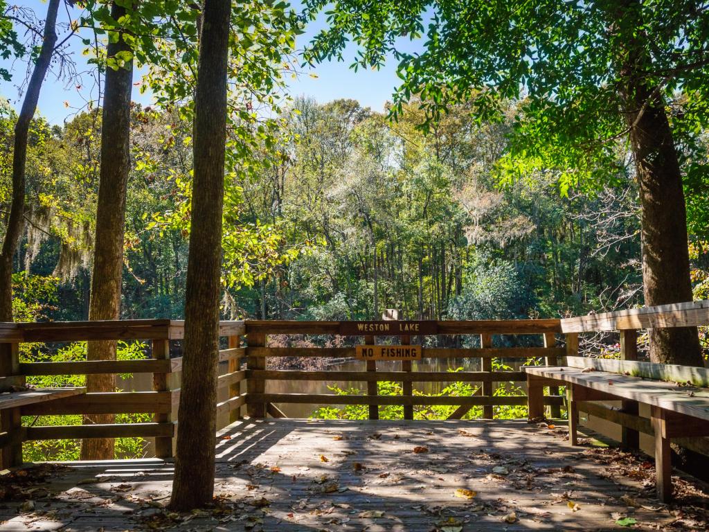 Congaree National Park, South Carolina, USA with a wooden fence and trees into the distance.