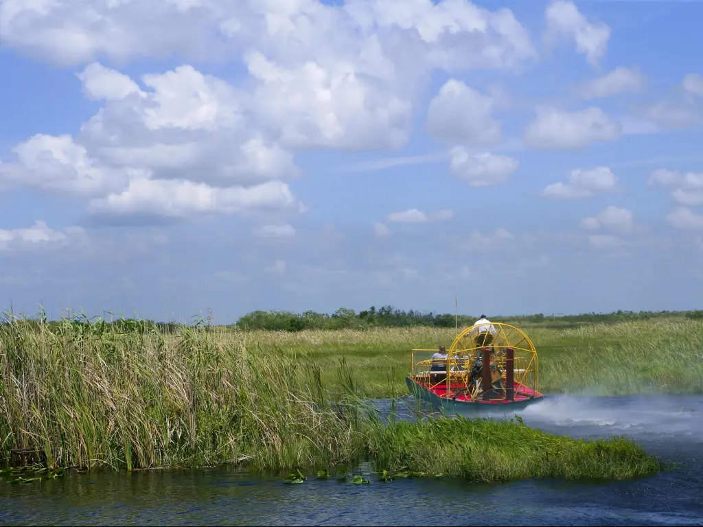 Airboat on the water in the everglades at Big Cypress National Preserve