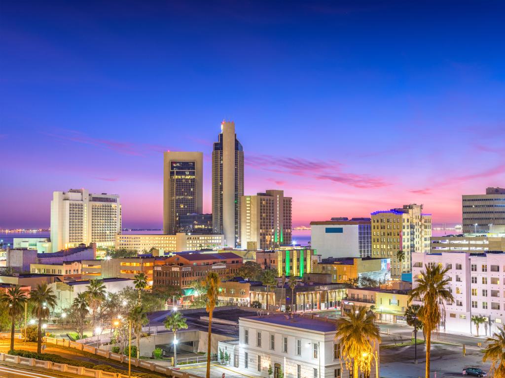 Corpus Christi, Texas, USA with the city skyline at dusk and palm trees in the foreground.
