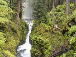 Sol Duc Falls at Olympic National Park, Washington State.