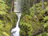 Sol Duc Falls at Olympic National Park, Washington State.