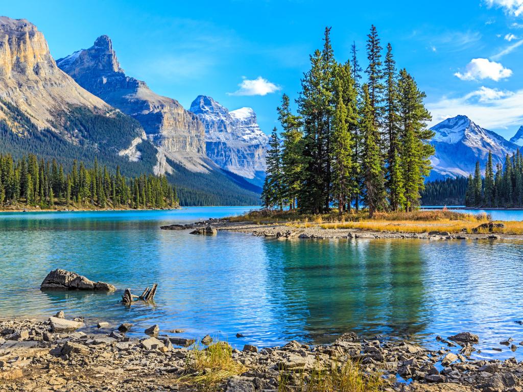 Jasper National Park, Alberta, Canada with Spirit Island in Maligne Lake in the foreground, tall trees beyond the lake and snow capped mountains in the distance under a blue sky.