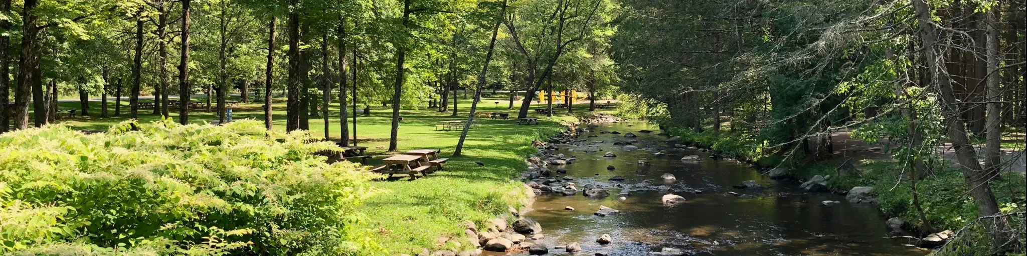 Saratoga Springs, NY, USA with a view of a picnic area by a brook at the Saratoga Spa State Park.