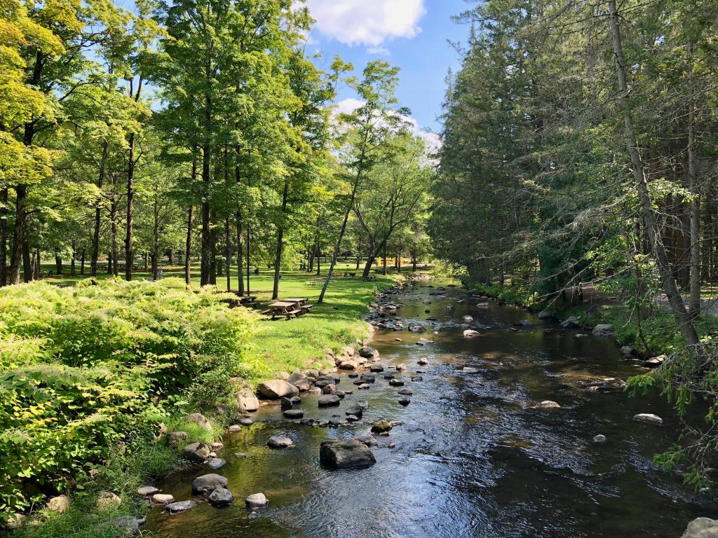 Saratoga Springs, NY, USA with a view of a picnic area by a brook at the Saratoga Spa State Park.